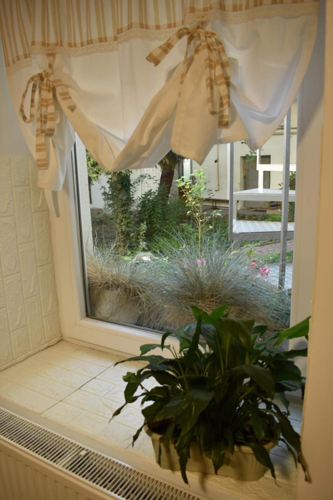 Anna'S Guesthouse Cluj-Napoca Eksteriør bilde