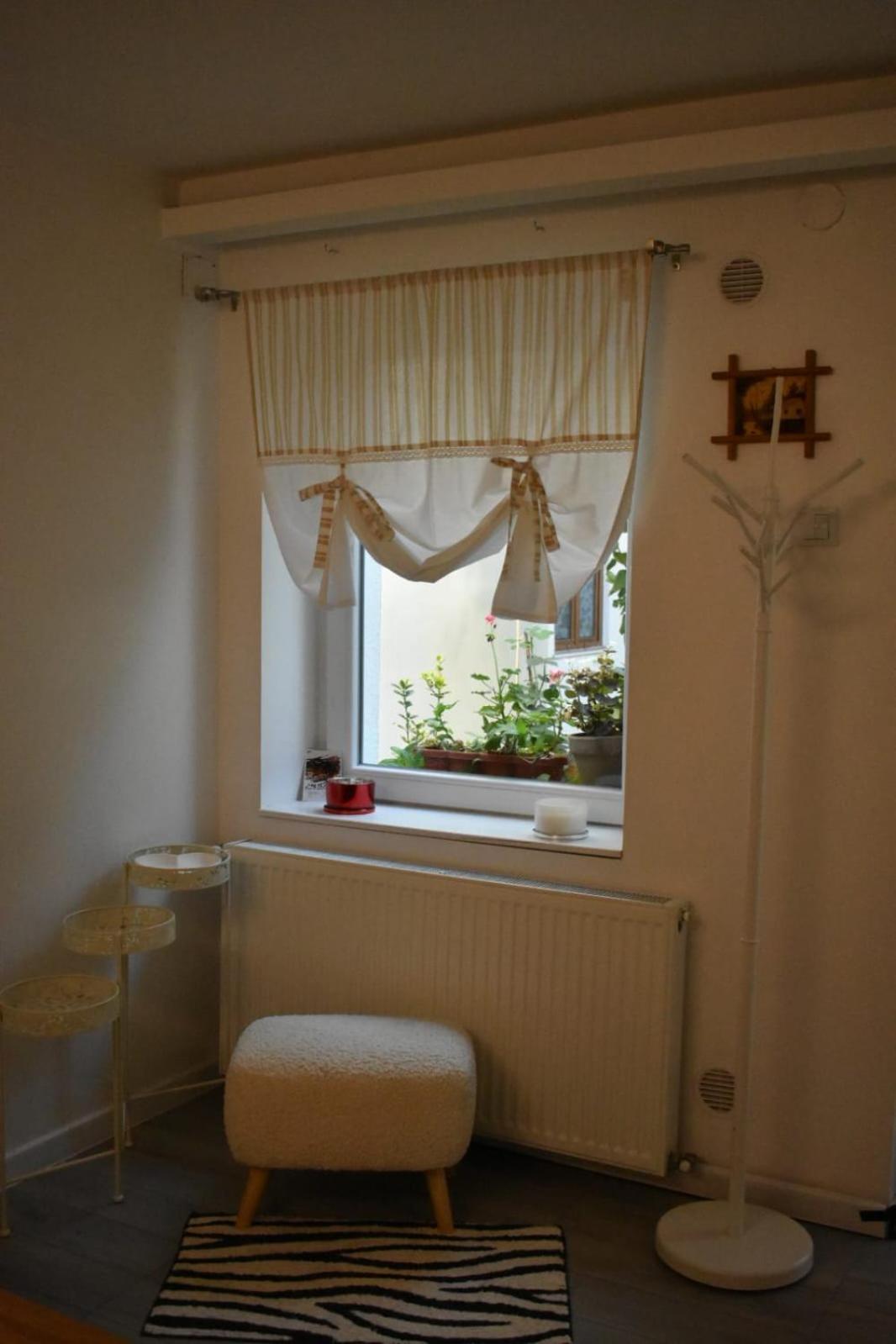 Anna'S Guesthouse Cluj-Napoca Eksteriør bilde